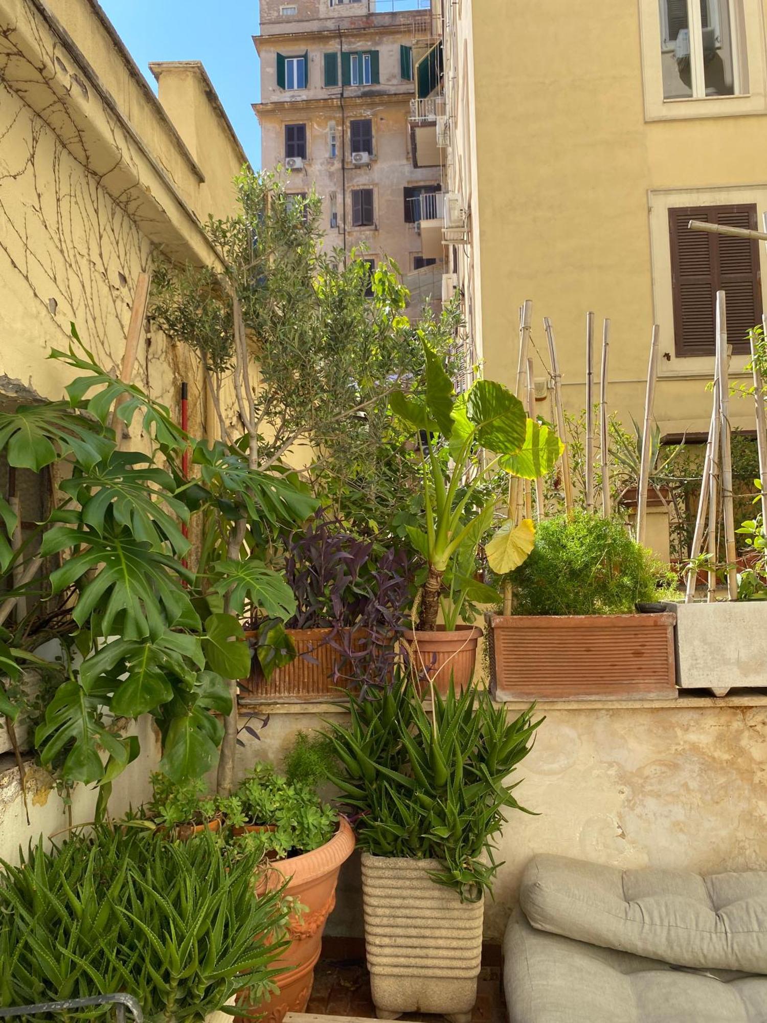 Il Plancton Hotel Rome Luaran gambar